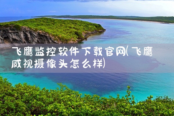飞鹰监控软件下载官网