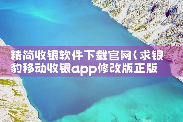 精简收银软件下载官网