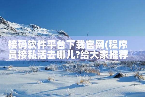 接码软件平台下载官网
